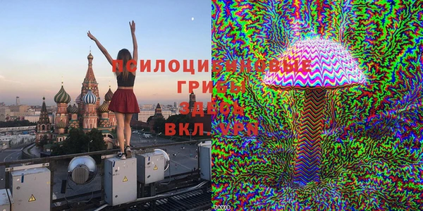 МДПВ Инсар