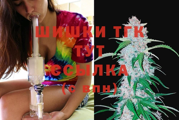 МДПВ Инсар