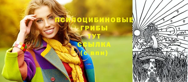 твердый Каменногорск