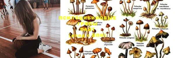 экстази Инта